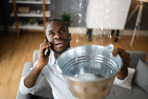 Best Water damage cleanup near me  in Moose Wilson Road, WY
