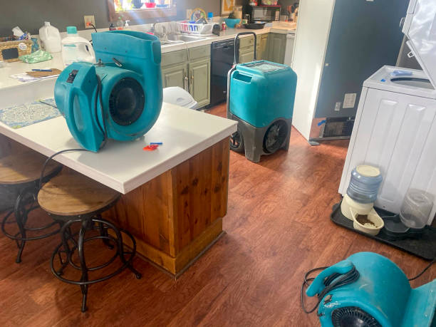 Best Basement water damage restoration  in Moose Wilson Road, WY