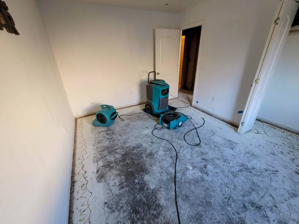 Best Emergency water damage restoration  in Moose Wilson Road, WY
