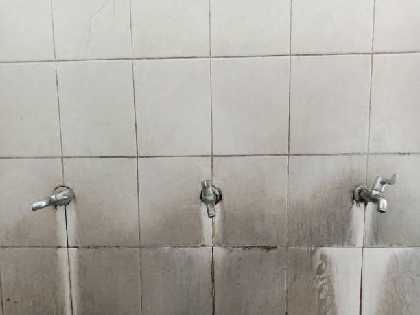 Best Mold removal after water damage  in Moose Wilson Road, WY