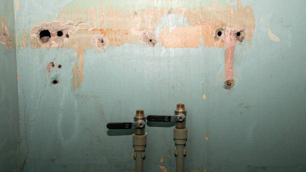 Best Sewage cleanup and water damage restoration  in Moose Wilson Road, WY