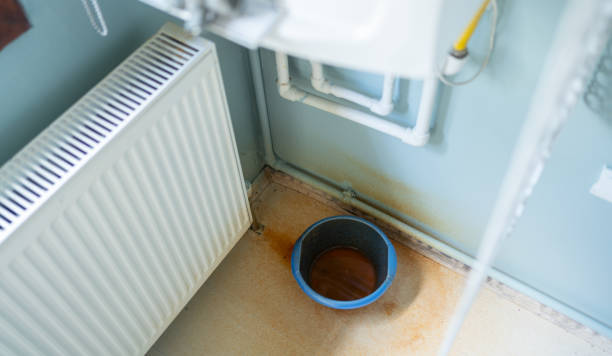 Best Basement water damage restoration  in Moose Wilson Road, WY