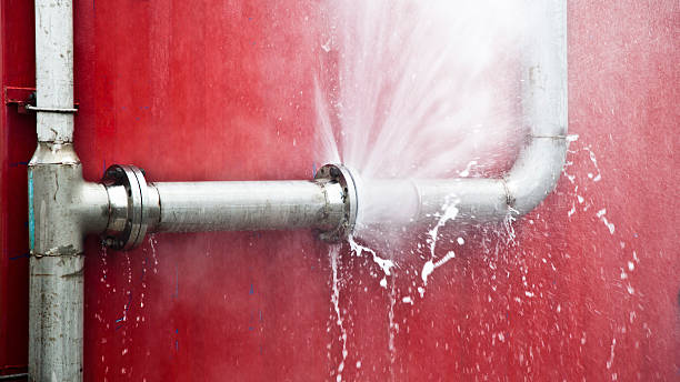  Moose Wilson Road, WY Water damage restoration Pros